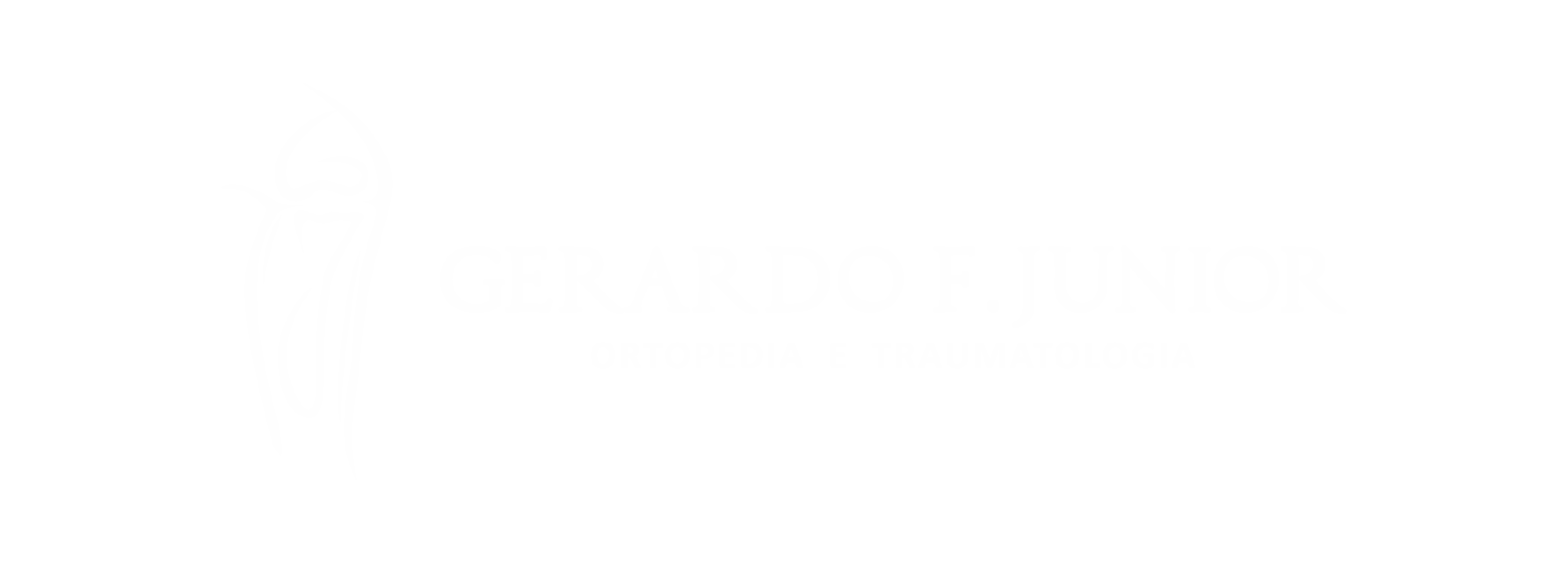 Dr. Gerardo F. Junior